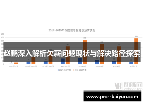 赵鹏深入解析欠薪问题现状与解决路径探索