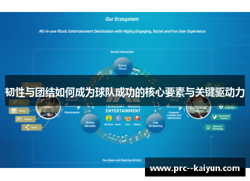 韧性与团结如何成为球队成功的核心要素与关键驱动力